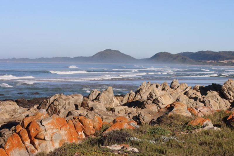 Oyster Bay Beach Lodge Exteriör bild