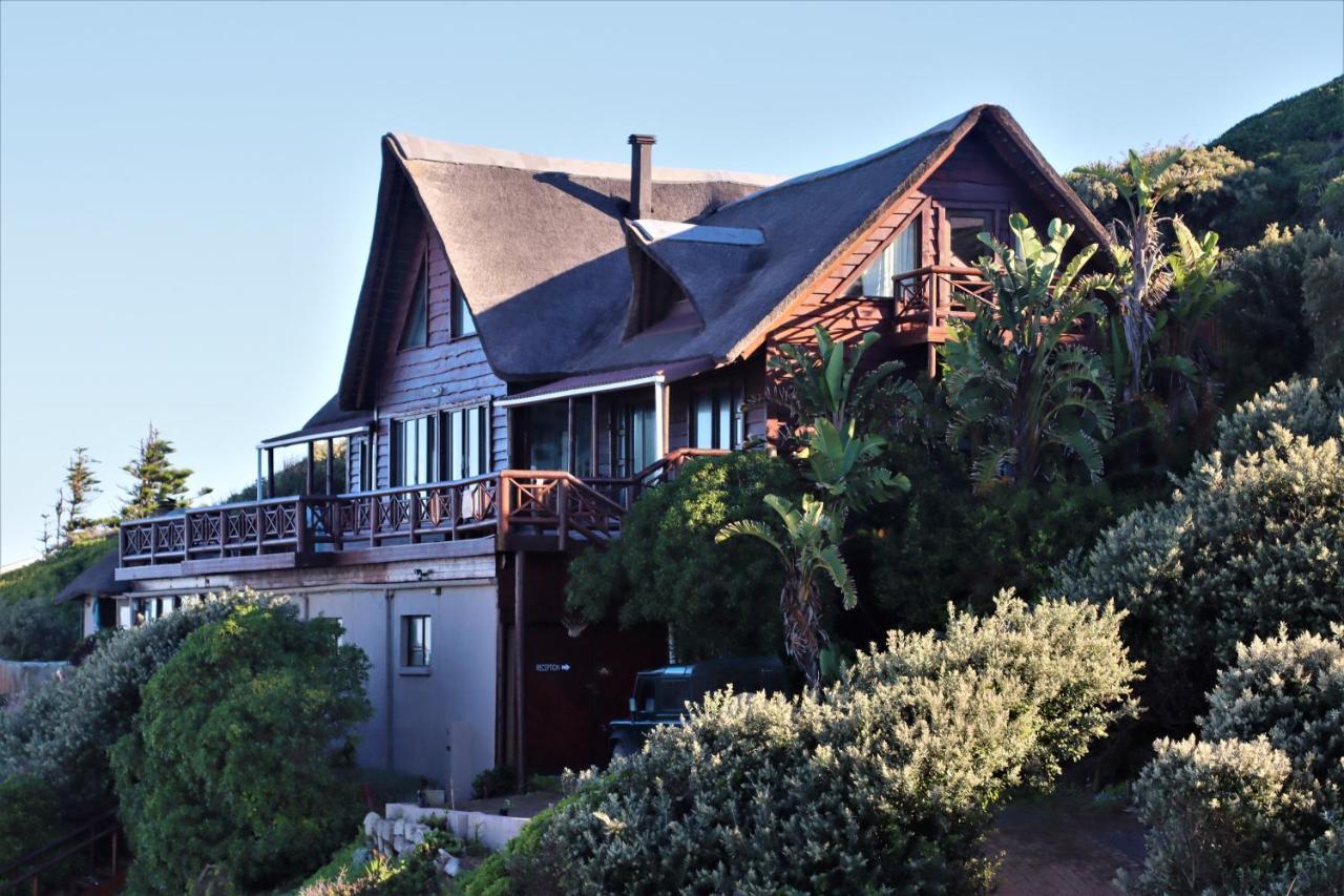 Oyster Bay Beach Lodge Exteriör bild